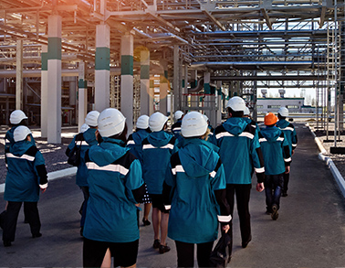 Process Development Support